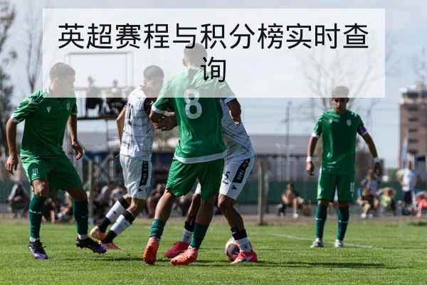 LPL季后赛首发名单与替补英雄登场概率查询
